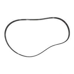 Picture of Belt - Serpentine