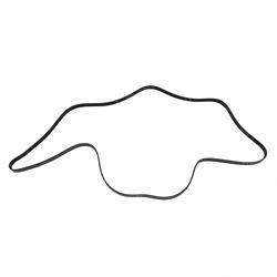 Picture of Belt - Serpentine