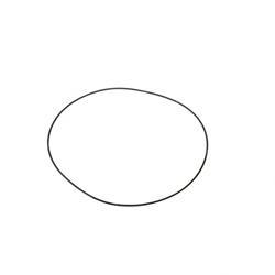Picture of O Ring