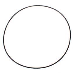 Picture of O-Ring
