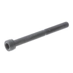 Picture of Bolt