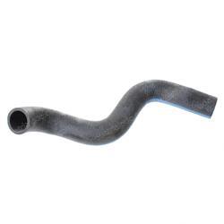Picture of Hose-Radiator - Lower