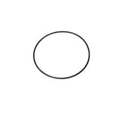 Picture of O-Ring