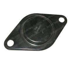 Picture of Plate