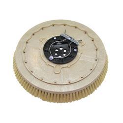 Picture of Brush - 18 in Tampico