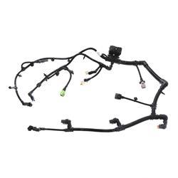 Picture of Harness Wiring