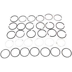 Picture of Ring Piston .030