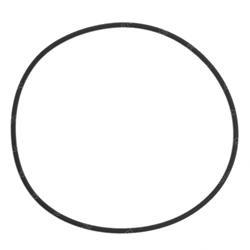 Picture of O-Ring