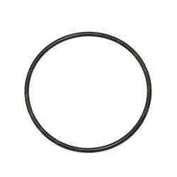 Picture of Seal