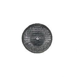 Picture of Lamp - Clear - Flood