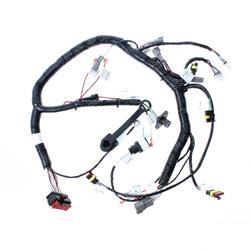 Picture of Main Harness