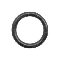 Picture of O-Ring