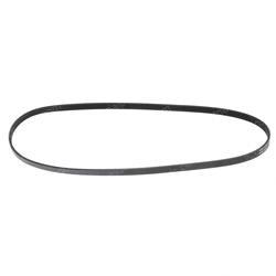 Picture of Belt - Serpentine