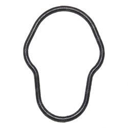 Picture of O-Ring
