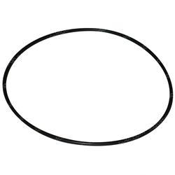 Picture of O-Ring