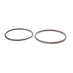 Picture of Seal - Ring