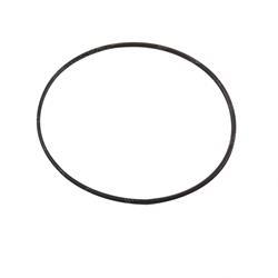 Picture of O-Ring