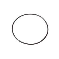 Picture of O-Ring