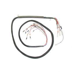 Picture of Harness