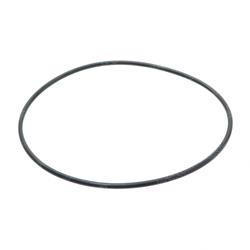 Picture of O-Ring
