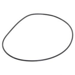 Picture of O-Ring
