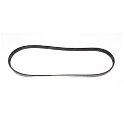 Picture of Belt - V Ribbed