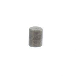 Picture of Pin