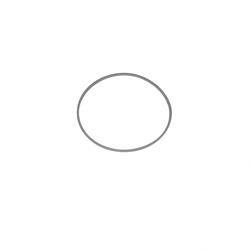 Picture of Ring - Back Up