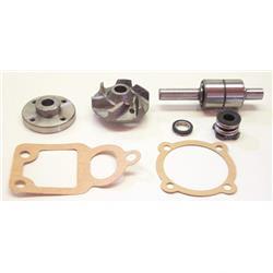 Picture of Pump Kit  Water