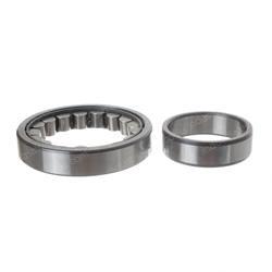 Picture of Bearing - Cylindrical Roller