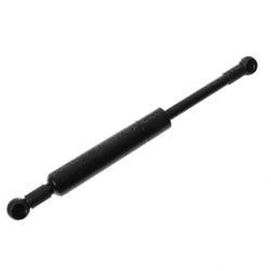 Picture of Gas Spring