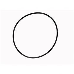 Picture of O-Ring