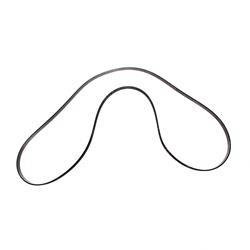 Picture of Belt - Serpentine