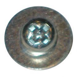 Picture of Screw - Sems