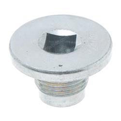 Picture of Threaded Plug