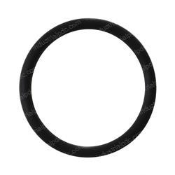 Picture of O-Ring