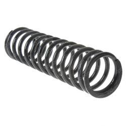 Picture of Rear Spring