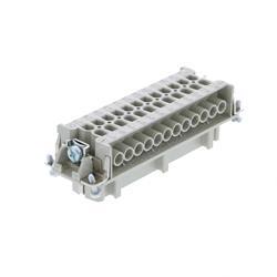 Picture of Plug 24 Pin