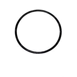 Picture of O-Ring