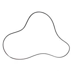 Picture of O-Ring