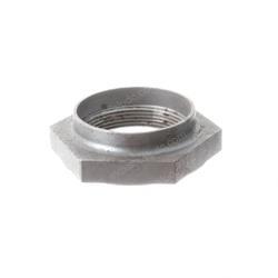 Picture of Nut