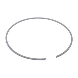 Picture of Ring-Snap