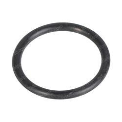 Picture of O-Ring
