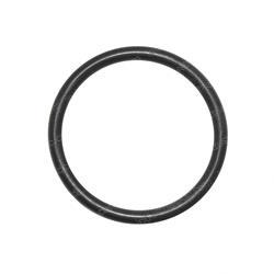 Picture of O-Ring