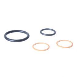 Picture of Seal Kit 2-Wy Valve