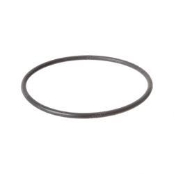 Picture of O-Ring
