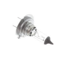 Picture of Lamp - Halogen 24v/70w