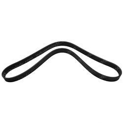 Picture of Belt - Serpentine