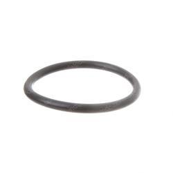Picture of O-Ring