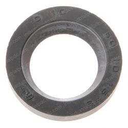 Picture of Seal